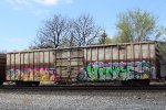 CMHX 71179